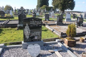 Beirne Michael Sheepwalk